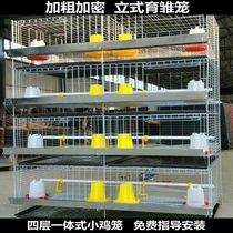 Bold and encrypted chicken cage breeding chicken cage 4-layer one vertical quail cage small duck seedling chicken cage