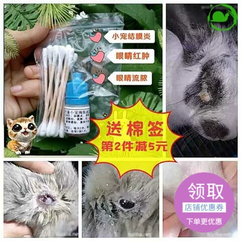 Hamster cung cấp thuốc nhỏ mắt thỏ nhỏ mắt thỏ đỏ và sưng mắt chinchilla viêm kết mạc mủ viêm giác mạc mèo và chó - Thuốc nhỏ mắt