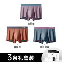 Стиль 101 [Бессмертный фиолетовый + Теплый оранжевый оранжевый + Синий Моранди]