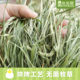 Rabbit Nest 2023 New Grass High Quality Baked Timothy Grass 500g Rabbit Grass Grain Pasture Feed Hay