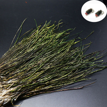 200 pieces of peacock tail silk fly hook feather material Nano fly Royal Wufu binding material