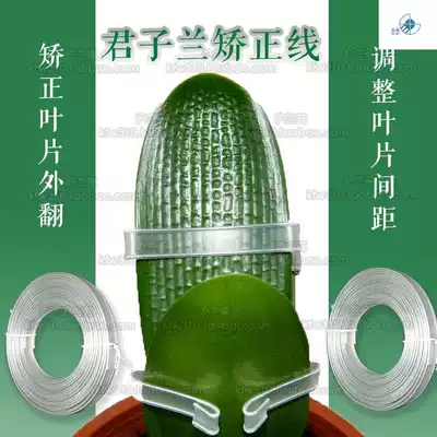 Clivia leaf orthotics, blade shaping correction wire clamp fixing correction clip tool positive tool