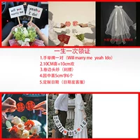 Centennial C (5 реквизита) (5 типов предметов) (Дата отправить обслуживание клиентов)