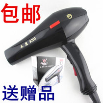 Long Eagle hair dryer 8200 hair salon professional high power hair dryer household hot and cold air duct 1800 2000W