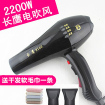 Long Eagle 8160 hair dryer long Eagle 2200W high power professional hair dryer hair salon Barber Shop