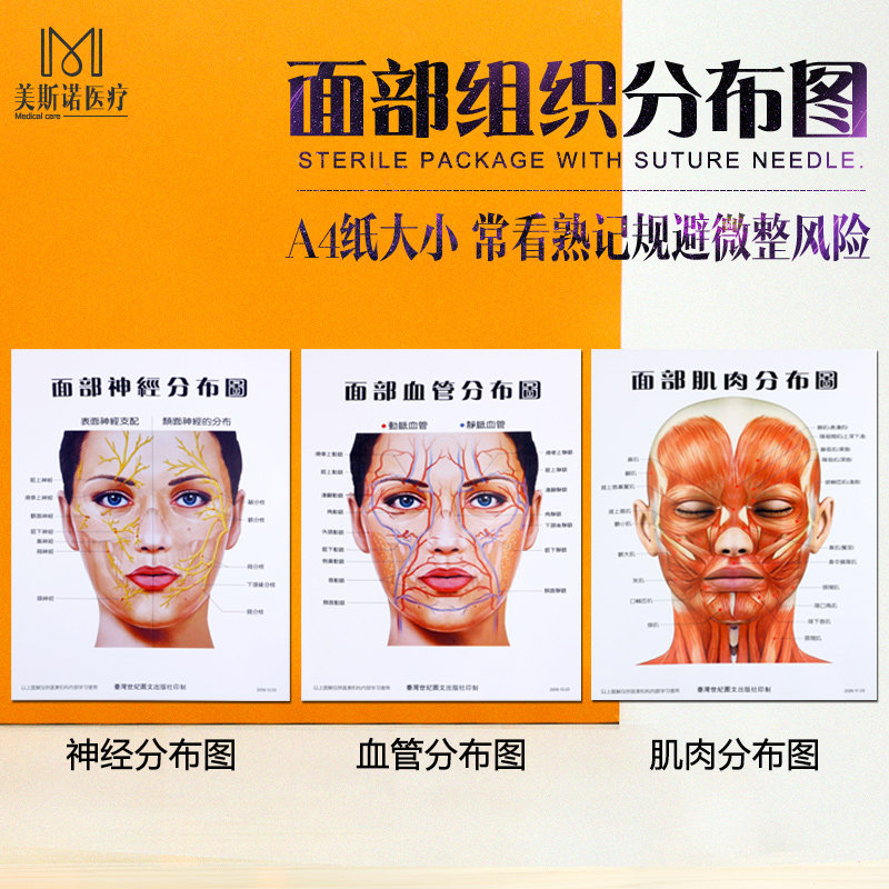 Facial tissue distribution map neurovascular muscle three sets of cosmetic micro-plastic practitioner reference auxiliary map