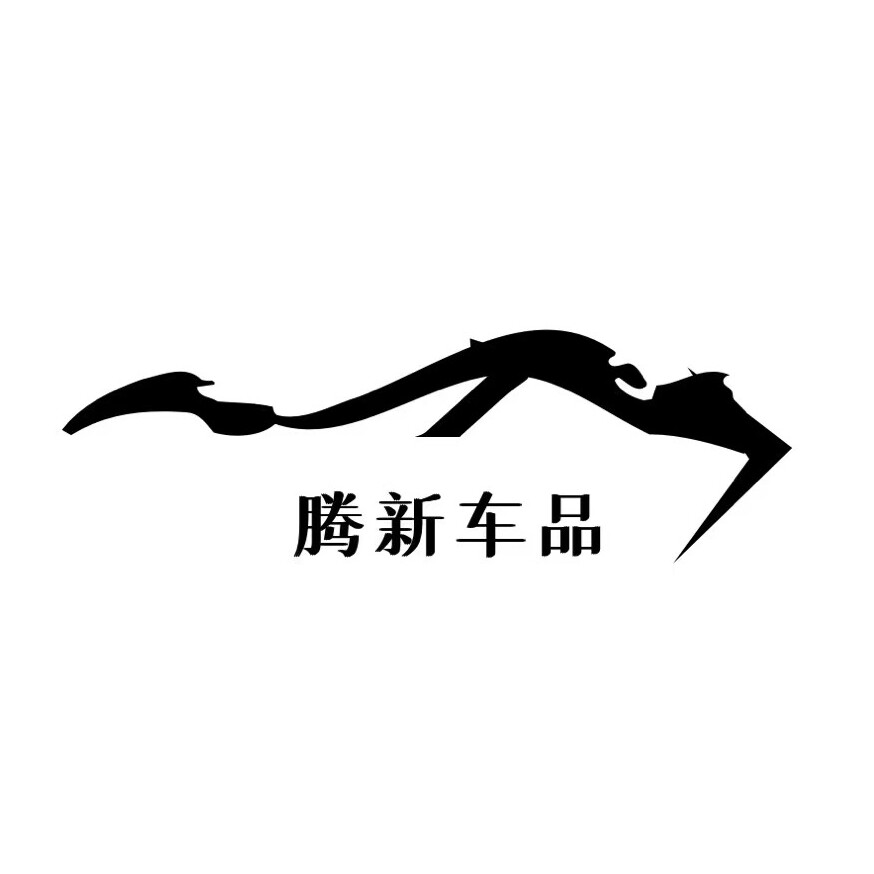 腾新车品
