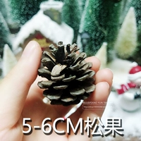 Один 4-5 см (2) Сосновые Конестеры (2)