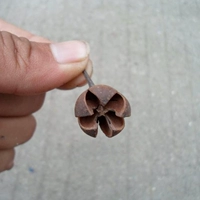 1,5-3 Перекрестные мелкие фруктовые раковины 3