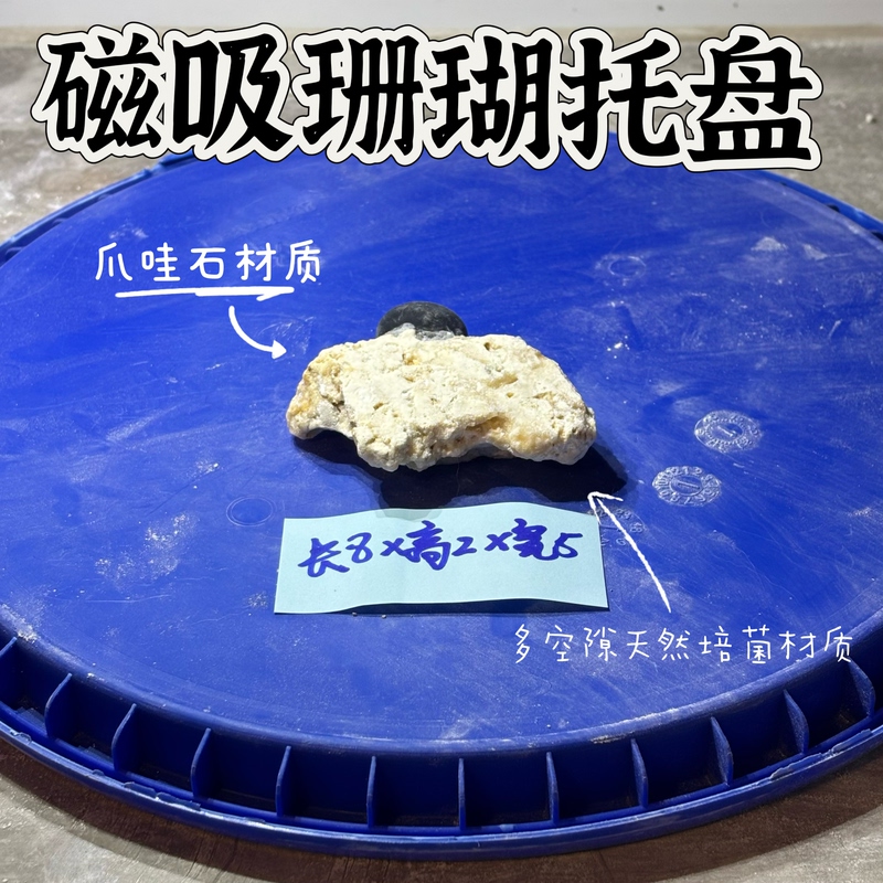 Coral Tray; Magnetic Coral Tray; Java Stone for Aquarium Landscaping, No Algae Explosion, Natural Bacteria Cultivation with Zero Release