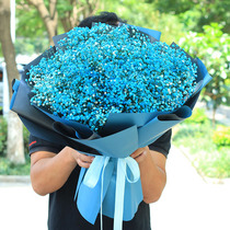 Oversized babys breath birthday gift dry bouquet Shaoxing Nanchang Haikou Shenzhen Foshan flower shop flowers city express