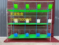 12-digit 50*50 female rabbit cage new rabbit cage large rabbit cage thick free of manure hot galvanized wire rabbit cage breeding