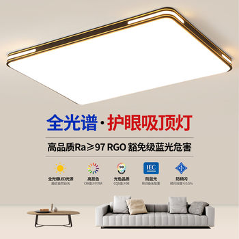 High-End Living Room Chandelier, Hall, Master Bedroom Ceiling Light, Modern, Simple and Elegant, 2025 New Model, Zhongshan