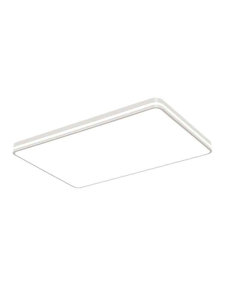 Living Room Main Light 2025 New Elegant Simple Modern Led Ceiling Light Home Bedroom Light Zhongshan Lighting Package