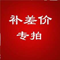 Professional version special photo shoot 4 items