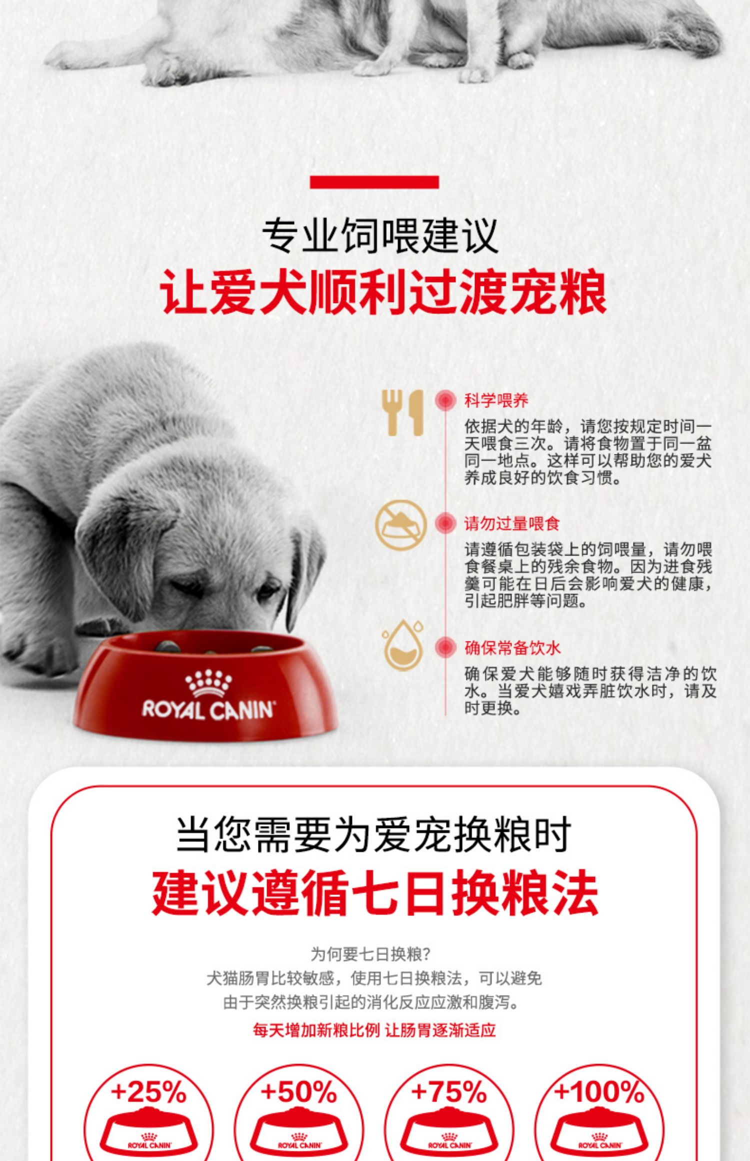 Thức ăn cho chó hoàng gia SIJ29 / 3kg Chó Shiba Inu thức ăn cho chó đặc biệt Chó trung bình Chó con chó Thức ăn cho chó Nhiều tỉnh - Chó Staples thức ăn chó ganador