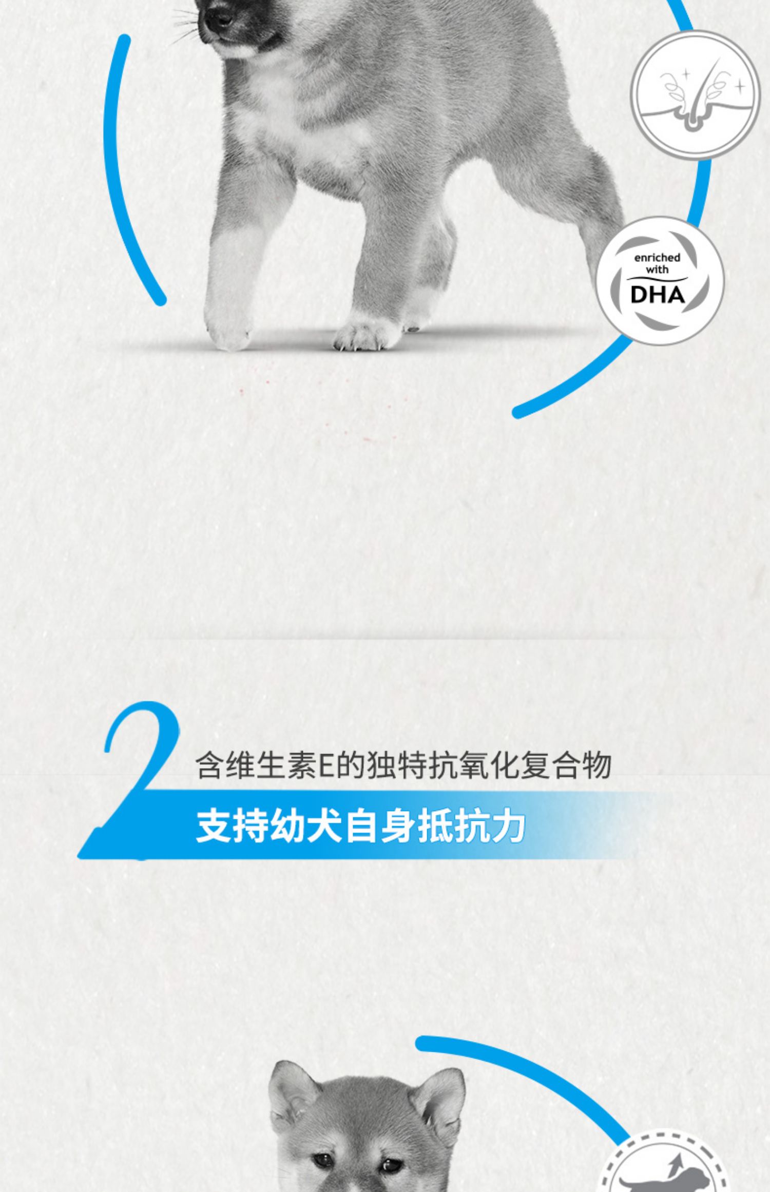 Thức ăn cho chó hoàng gia SIJ29 / 3kg Chó Shiba Inu thức ăn cho chó đặc biệt Chó trung bình Chó con chó Thức ăn cho chó Nhiều tỉnh - Chó Staples thức ăn chó ganador