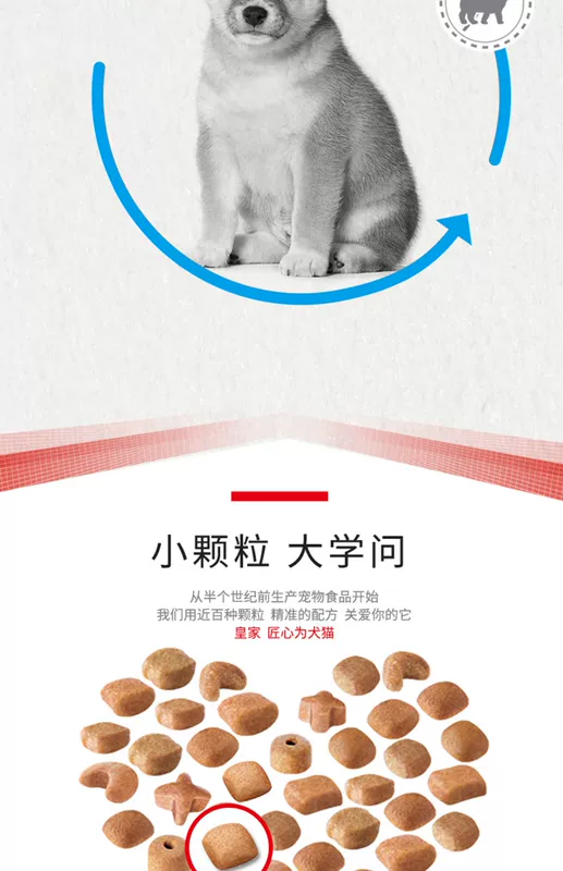 Thức ăn cho chó hoàng gia SIJ29 / 3kg Chó Shiba Inu thức ăn cho chó đặc biệt Chó trung bình Chó con chó Thức ăn cho chó Nhiều tỉnh - Chó Staples