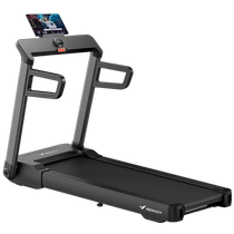 Merrick Treadmill Home Foldable Small Smart Walking Machine Gym Indoor Silent Weight Loss Equipment