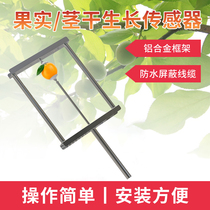 Fruit diameter Sensor plant stalks grow stainless steel bracket RS485 Online monitoring stem dry sensor