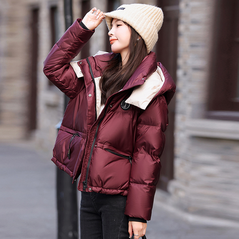 Color-Blocked Quilted down Jacket for Women, Short Style, Winter 2026 New Model, Popular This Year, Trendy Puffer Jacket for Petite Figures