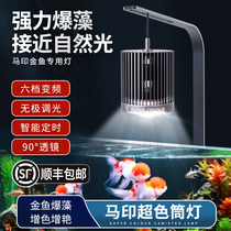 Special offer Ma Yin super color downlight magic lamp full spectrum fish tank LED light goldfish native algae increase beauty timed dimming
