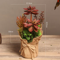 American Country Simulation Multi-meat Flower Pot Desktop Small Fabric Creative Living Room Wine Cabinet Pot Decoration