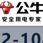 安全用电领导者