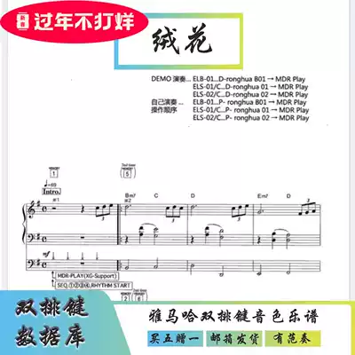 (Buy one get one free) flower of shan ye-keyboard sound soft sound source has demonstration performance an accompaniment