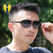 TAP Outdoor Hiking Polarizing Glasses Sunglasses for Men and Women Drivers Driving Patrol Universal Fishing Sunglasses
