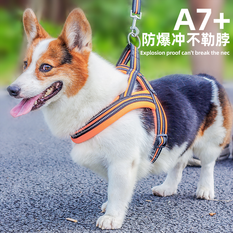 Fadou Corgi Shiba Inu Border Shepherd Medium and Large Dog Leash Leash Chest Strap Vest Walking Dog Rope Chain Supplies