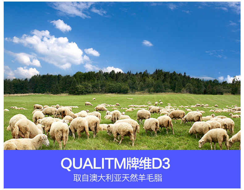 Jamieson 健美生五重钙D3钙片