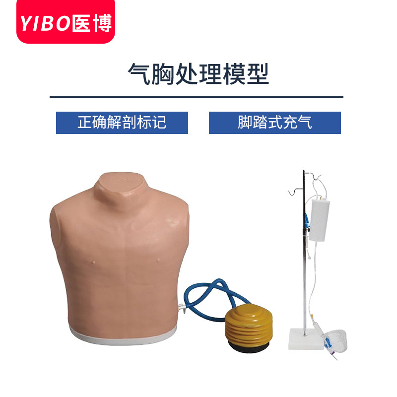气胸急救护理训练模型医用胸腔急救淋巴结穿刺训练模型模拟人假人