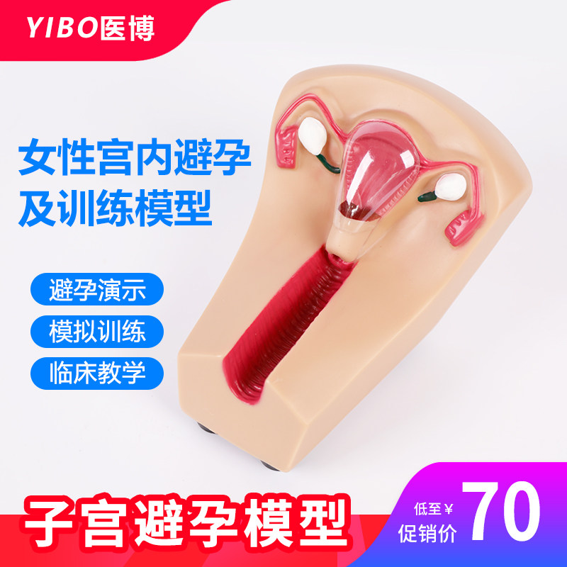 医博女性宫内避孕器及训练模型子宫生殖器官教学模具上环取环练习