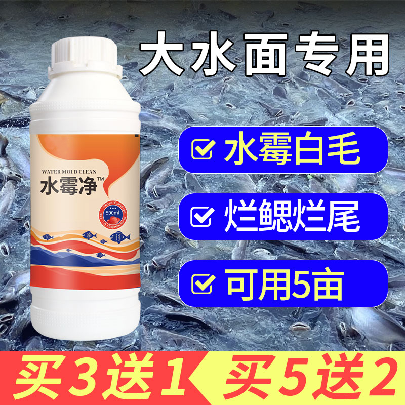 Watermold Disease Specialty Fish Drug Aquaculture White Faults Fish Rot of Rotten Gills of Rotten Tail of Pure Water Purification of Mildew Loxacin