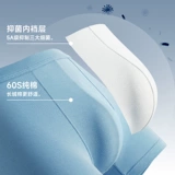 Трусы, хлопковые антибактериальные штаны