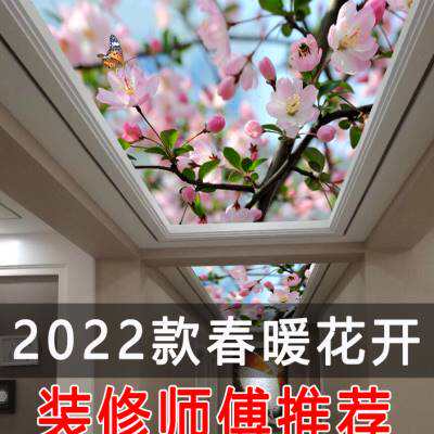 Custom Blue Sky White Clouds Art Glass Ceiling Acrylic Light Transmission Board Custom Sky Leaves Sky Aisle Hallway Chand-Taobao