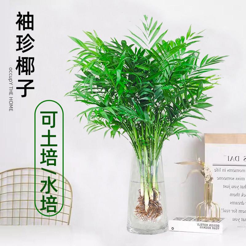 包倪满意背包店