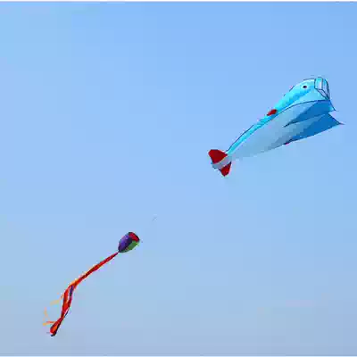 Weifang kite soft whale kite flying easy to carry adult kite family kite