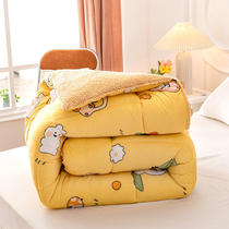 Lamb suede quilted winter quilted by cotton Thickened warm winter bifacial suede quilted by core Dormitory Single students All Seasons General