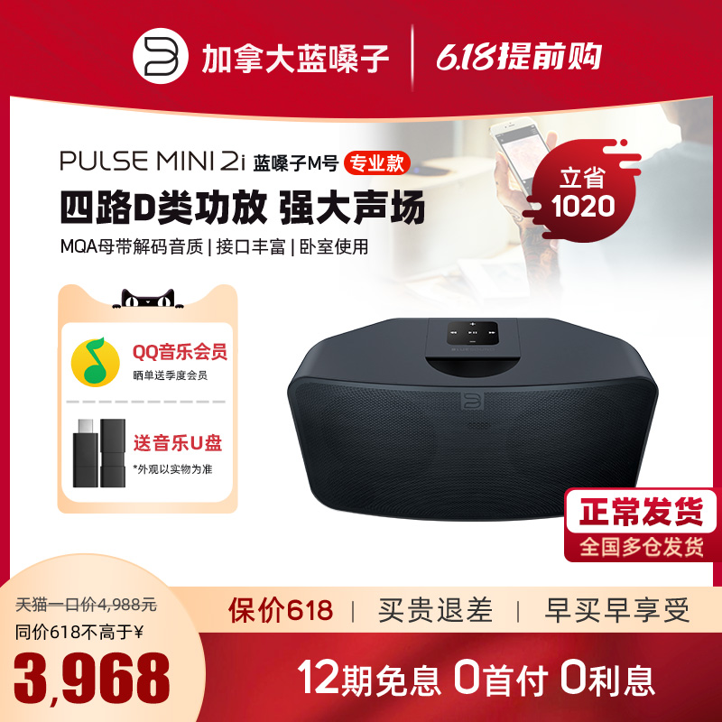 BLUESOON PULSE MiNi 2i home smart sound wireless speaker surround low tone cannons Bluetooth