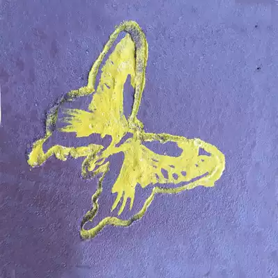 Pavement printing mold cement printing mold butterfly printing mold ground decoration printing mold butterfly mold