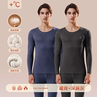 Глубокая конопляная пепела+тибетская цин