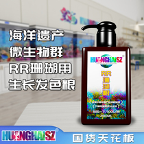 Huanghai coral grain RR liquid grain snow feed color sea anemone grain brain candy hard bone Fuji granule powder Yellow Sea