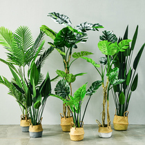 Simulation traveler banana turtle back tree piano leaf banyan plant Canna living room indoor floor-to-ceiling high-end creative potted green plant