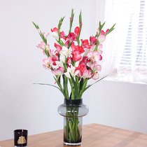High-quality simulation foil orchid Gladiolus floor-to-ceiling vase dried flower decoration handmade silk flower large fake flower