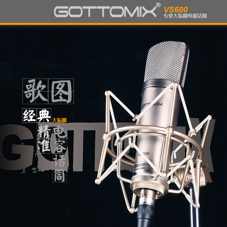 Gottomix VS600 Classical Pro Large Screen Recording Capacitor Microphone (for Musical Instruments and Voice)
