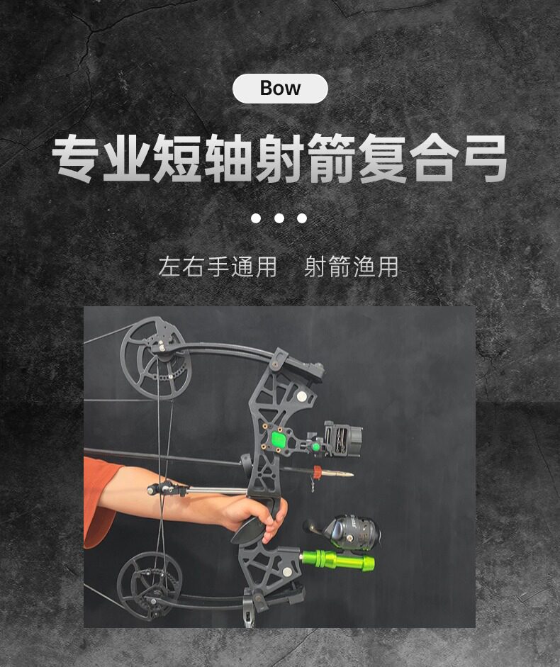 Боу 弓箭复合弓弓箭射箭套装户外滑轮弓射鱼射箭户外运动直拉弓反曲弓 Wang Shi