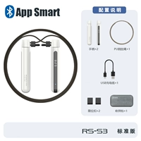 RS-S3 Стандартное издание