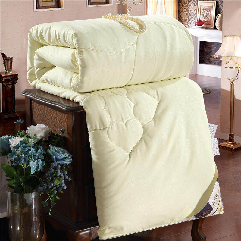 Two - person quilt winter is thickened by core warmth dorm single student worn pressed silk is 8 kg warm